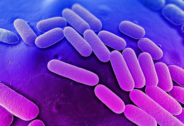 哪些益生菌有临床试验,国家认可的10种益生菌