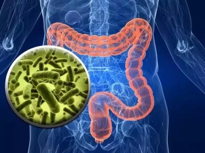 出生后胎盘炎症对孩子的影响,婴幼儿出生的影响