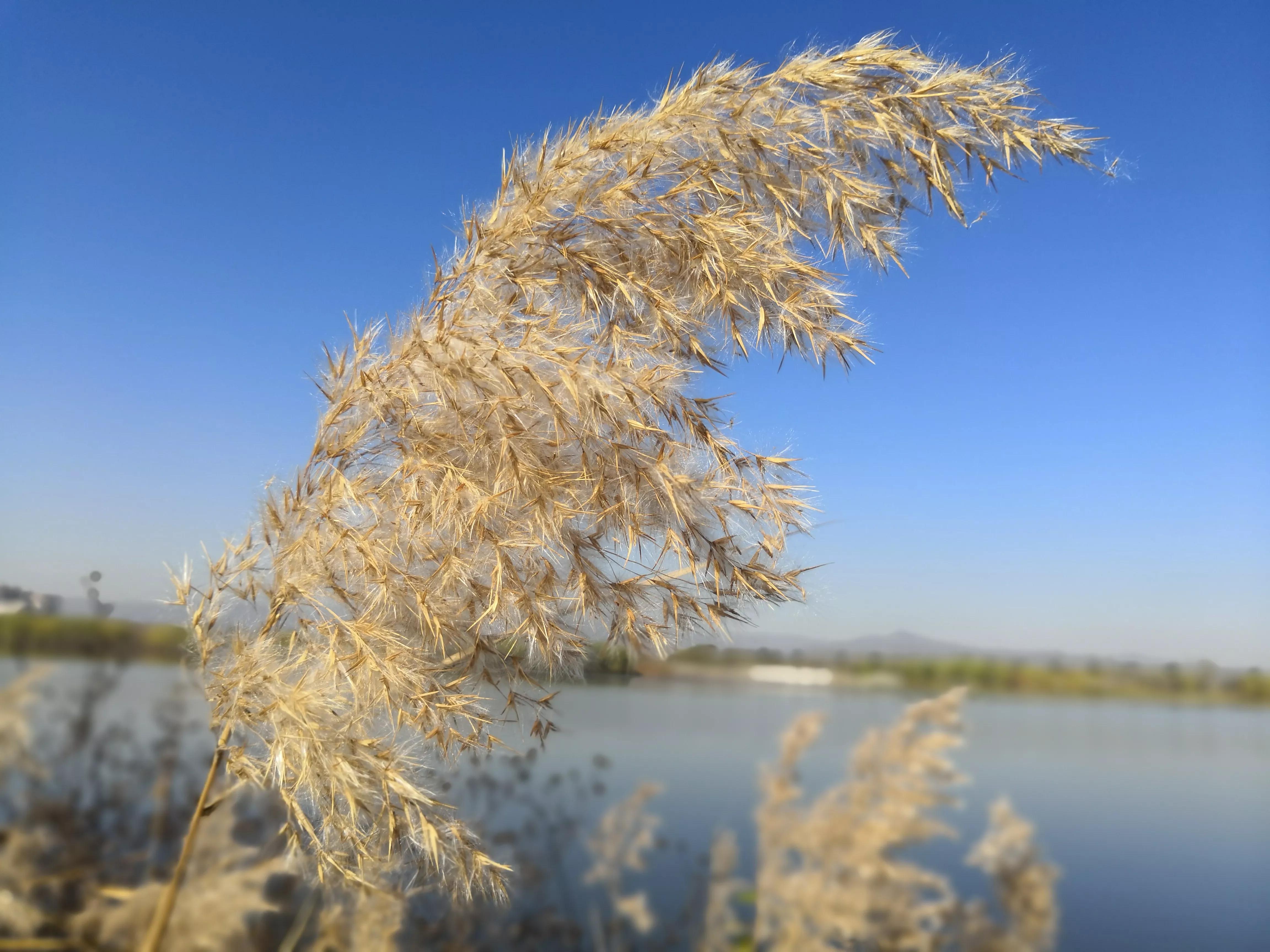 太原去哪里看秋景,太原的秋景有哪些