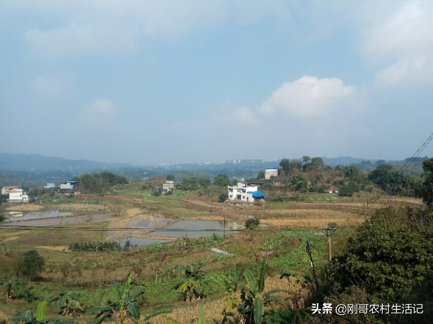 30岁小伙坚持农村创业,农村人辞职创业致富走上人生巅峰