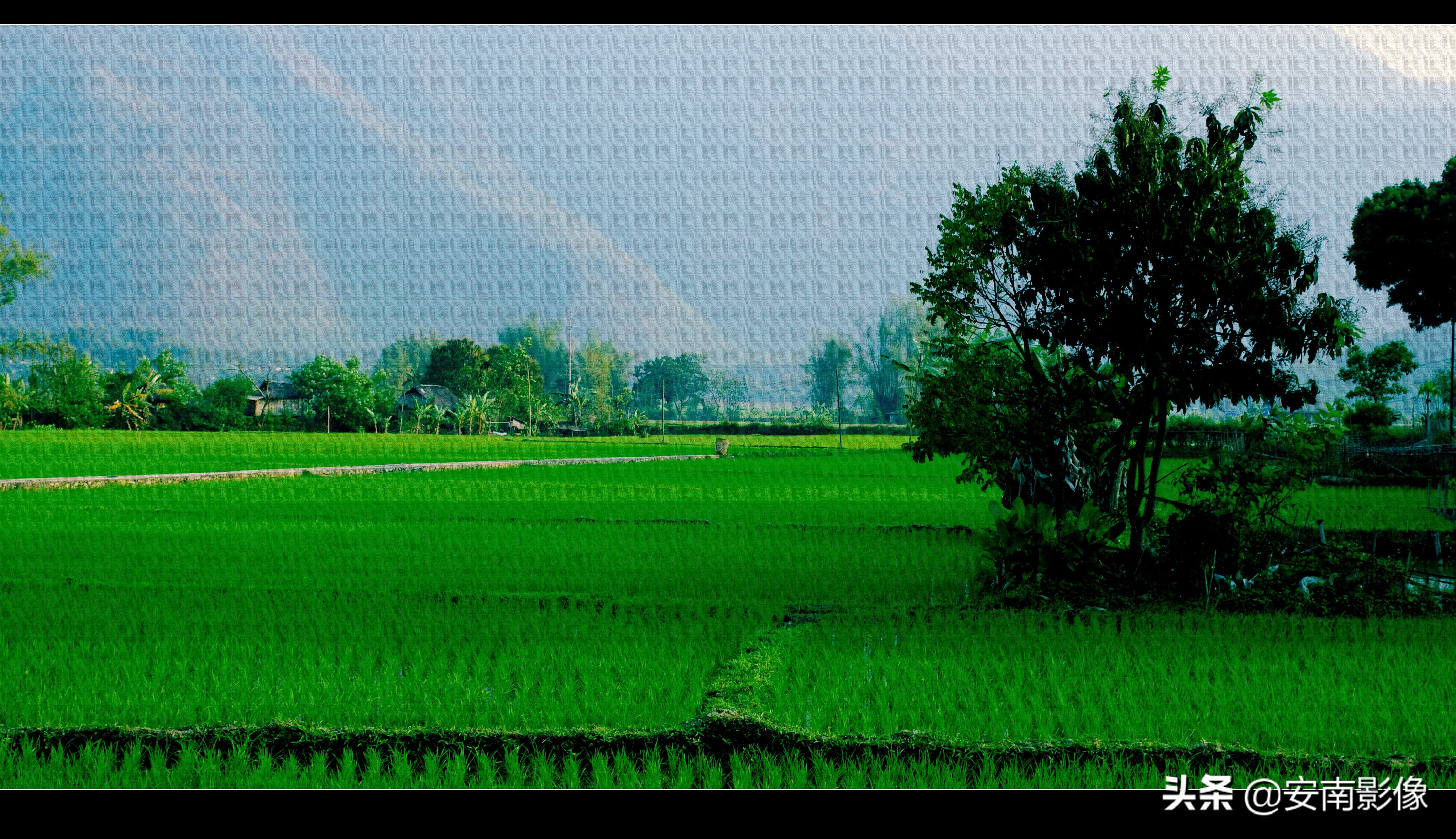 越南/西北/梅州Maichau/睦州Mocchau