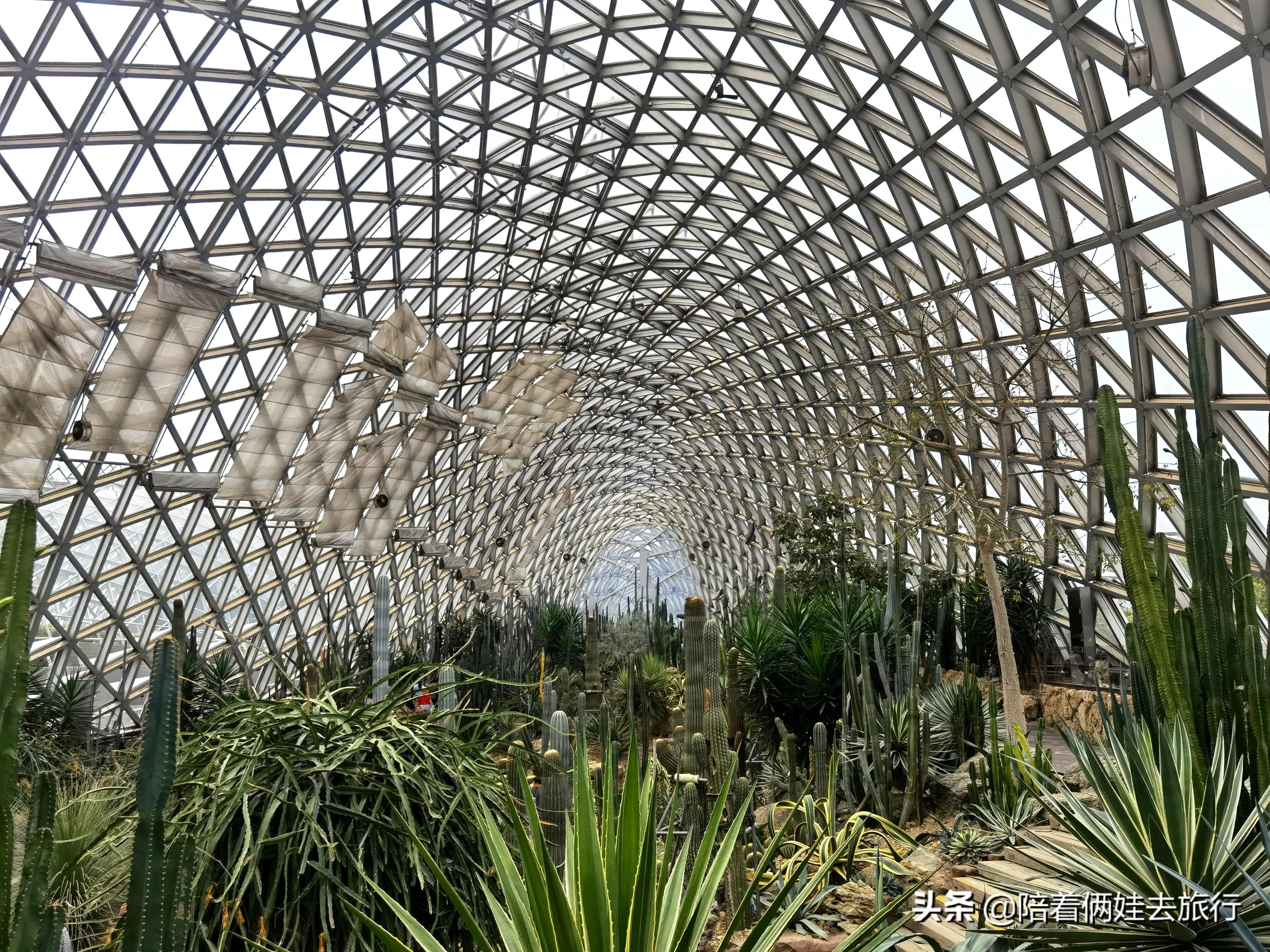 上海辰山植物园矿坑花园,辰山植物园矿坑花园修好了吗