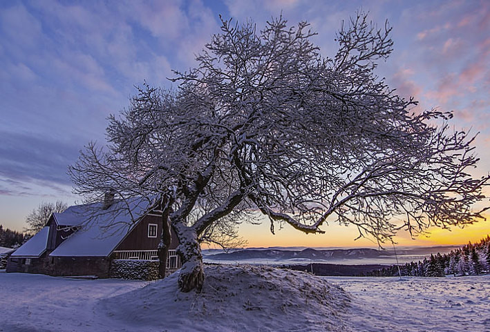 脑血栓腿部刮痧,治疗脑血栓最神奇的偏方