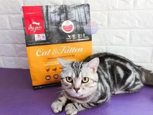 哪种猫粮最好价格又合适,什么猫粮最好性价比最高
