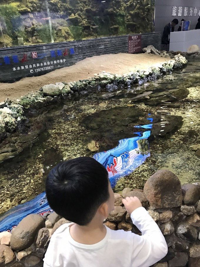 三亚的风景特别的美,感受一下三亚的气息和美景