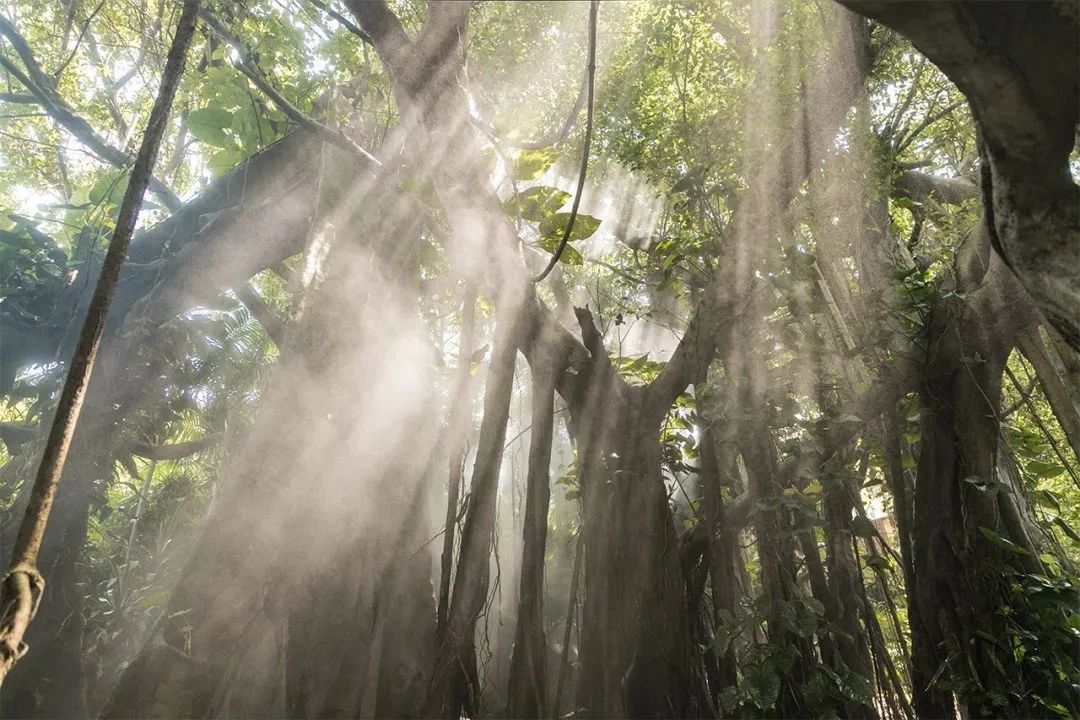 深圳游玩最佳地点排行榜前十名,深圳适合小孩游玩最佳地方推荐