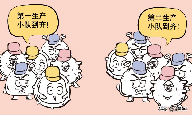 肠道菌群失调用哪种益生菌来调理,肠道菌群紊乱喝益生菌饮品