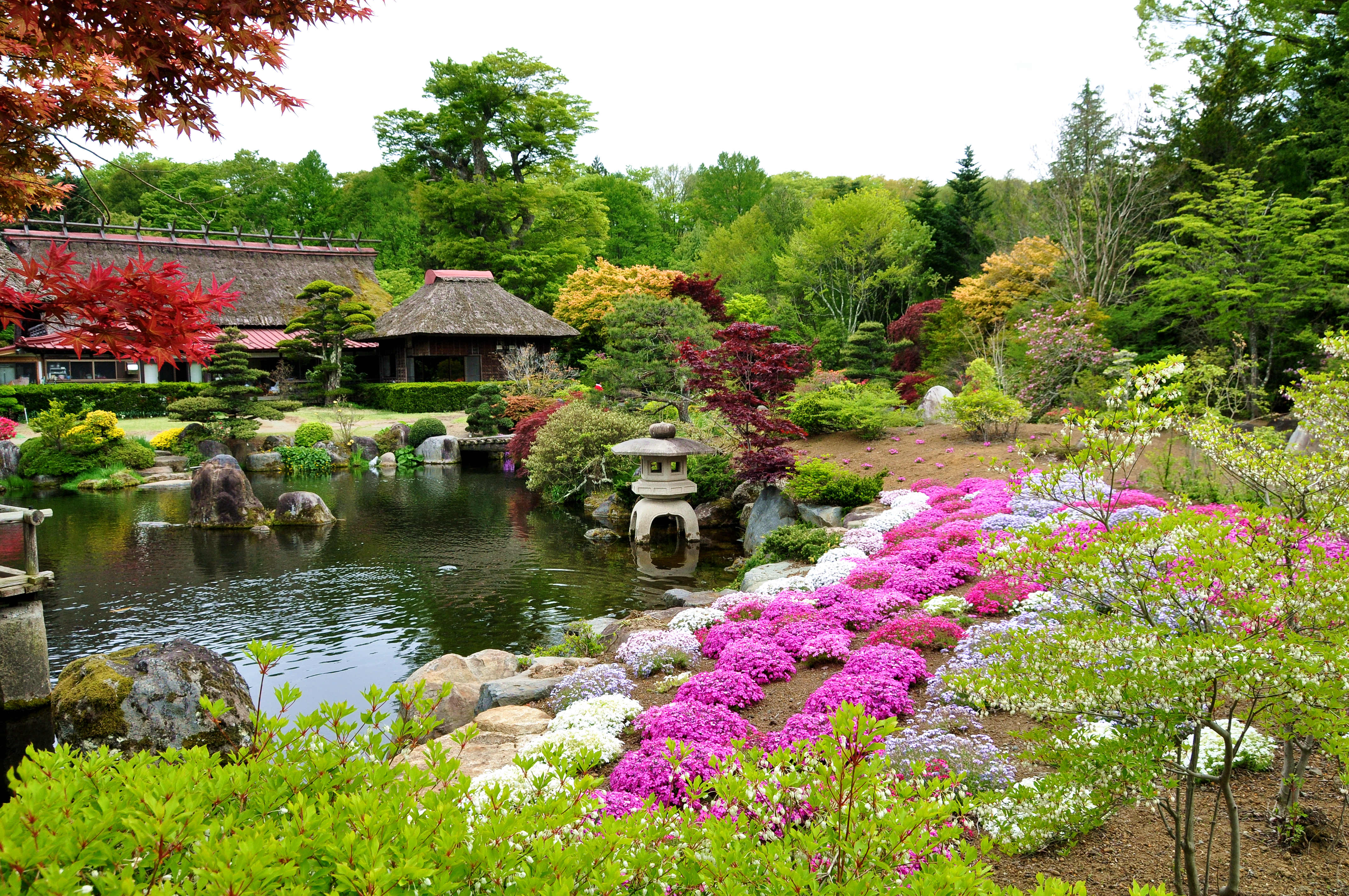 日本游学记安露莎护肤,日本游学案例