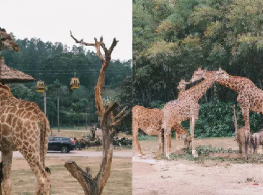 广州旅游必打卡的吃住玩实用攻略,广州旅游超全攻略最新