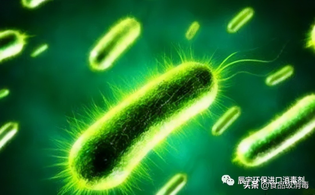 桶装纯净水厂铜绿超标整改报告,纯净水铜绿假单胞菌超标核查