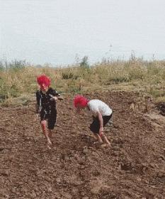 搞笑GIF段子：编辑这锅台是不是为了录视频还擦了擦？唉呀妈呀