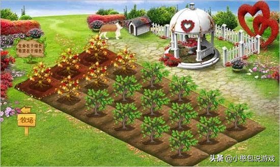 4399以前的经营游戏,4399有哪些消失的页游