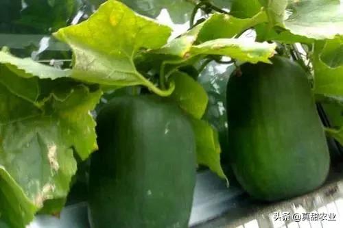 行情持续震荡是否还能突破新高,行情延续容易反转难