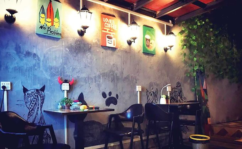 当代大学生如何看待创业创新问题,针对大众创新万众创业你怎么看