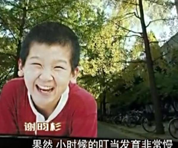 谢昀杉为什么被称为鬼马童星,谢昀杉国民童星