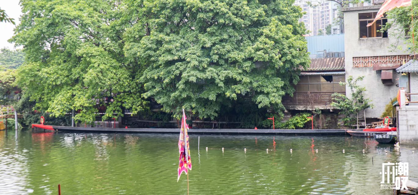 荔枝湾涌这条不够200米的街，50元吃遍西关地道美食！