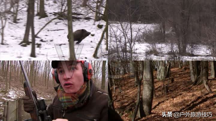 鍥藉鐙╃寧閲庣尓,缇庡浗鎹曠寧閲庣尓