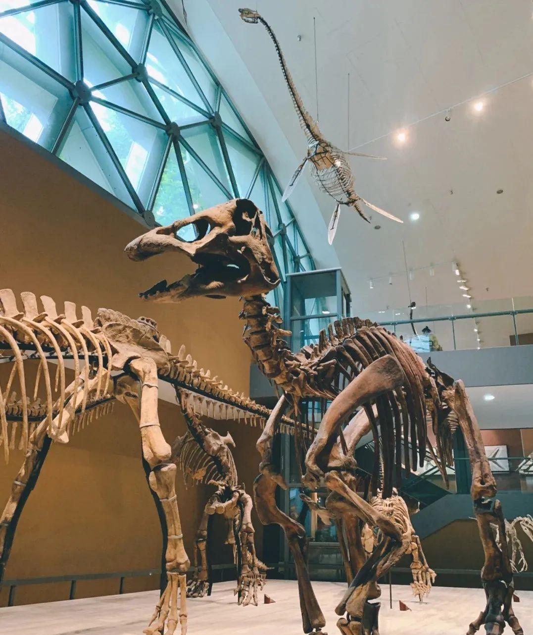 浙江孩子暑假,宁波暑期孩子游玩