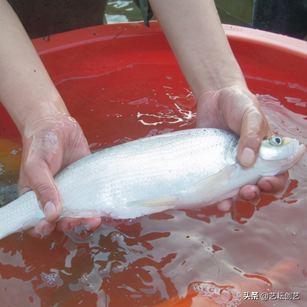 湖北标志性农产品,全国农产品地理标志目录四川