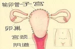 美思伊人：子宫的危害你知道多少吗？