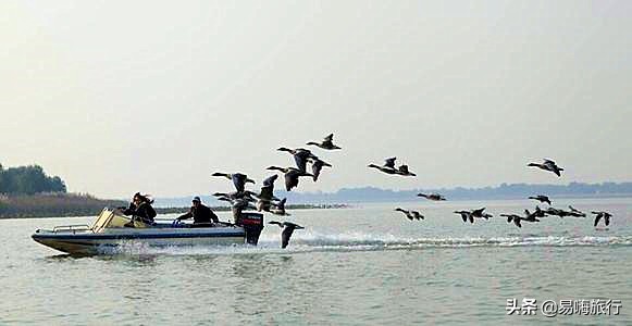 天津周边踏春好地方,天津一日游踏春路线