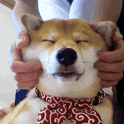 竟然用“油”拯救了我的大烂脸！