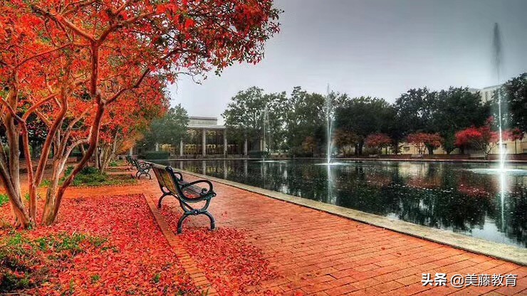 疫情期间外国人签证过期如何处理,签证到期因为疫情无法回国怎么办