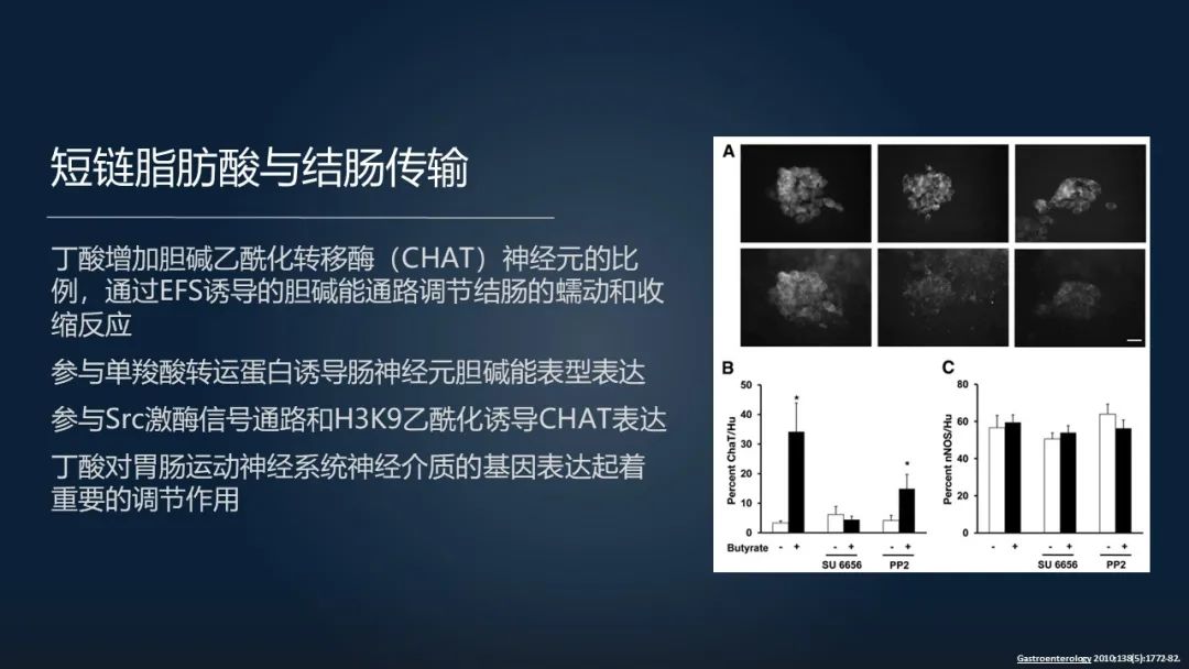 一招调理肠道改善便秘,肠道水疗治便秘有效吗