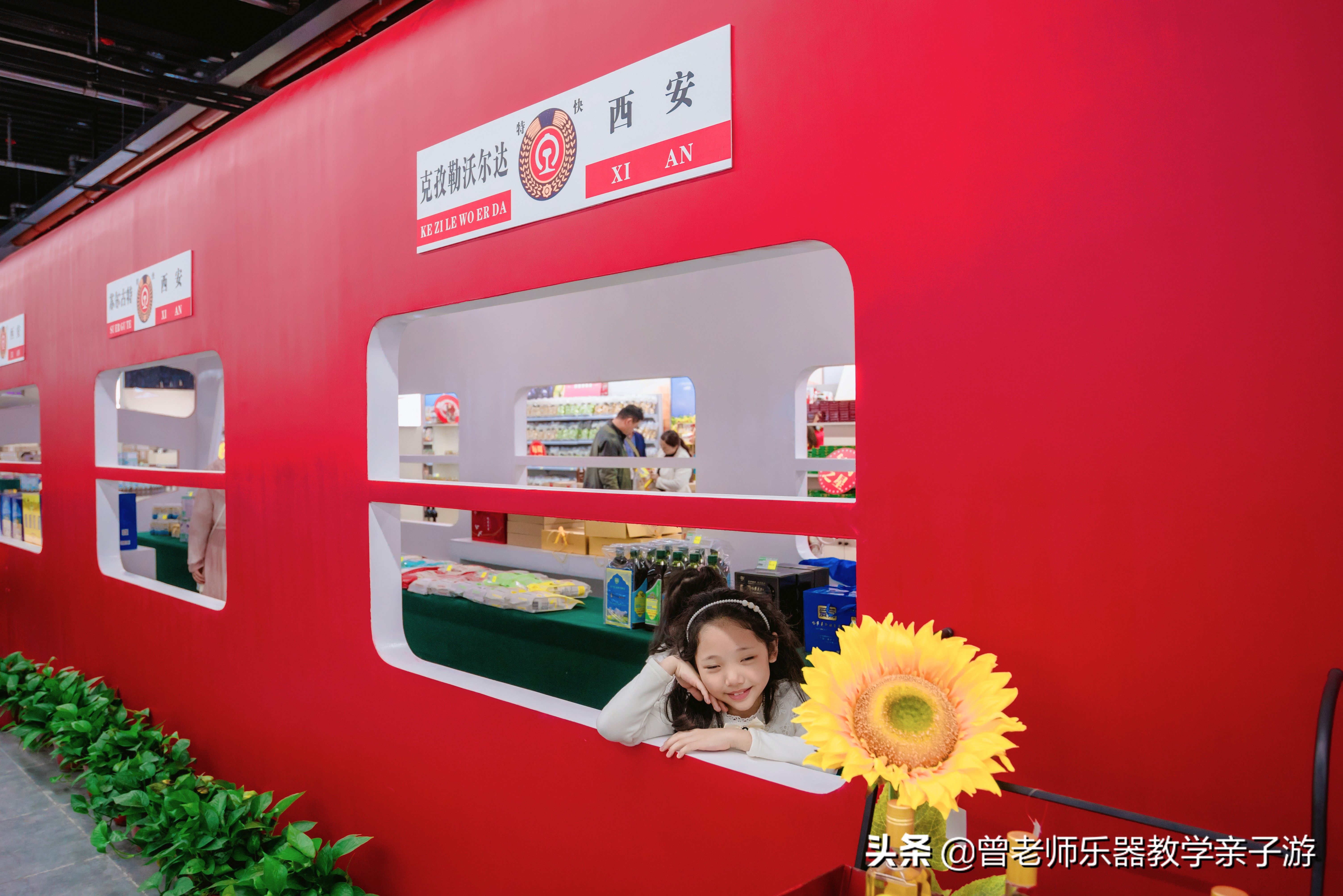 爱菊研学游,爱菊丝路文化菊花园西安