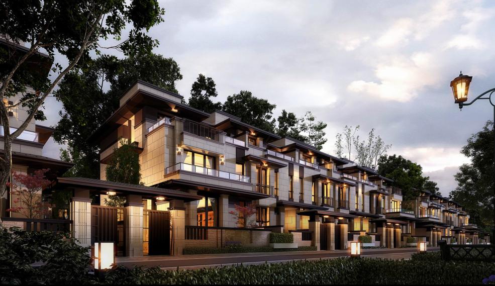 豪宅属性，规划逻辑景观高利用，地块和肌理，底TOWN户型