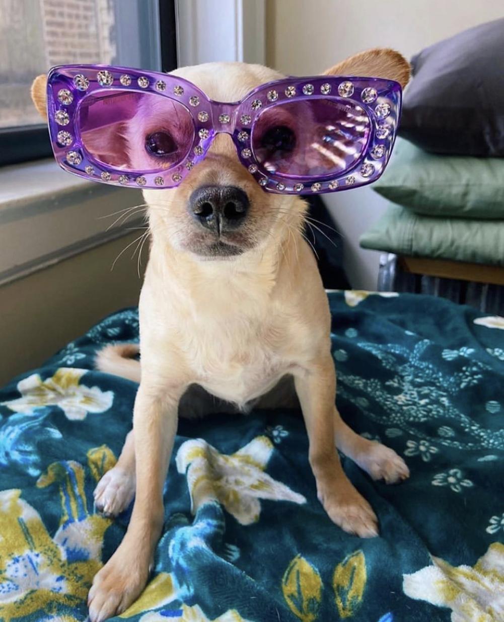 适合自己脸型的墨镜,怎么选一款适合自己的墨镜