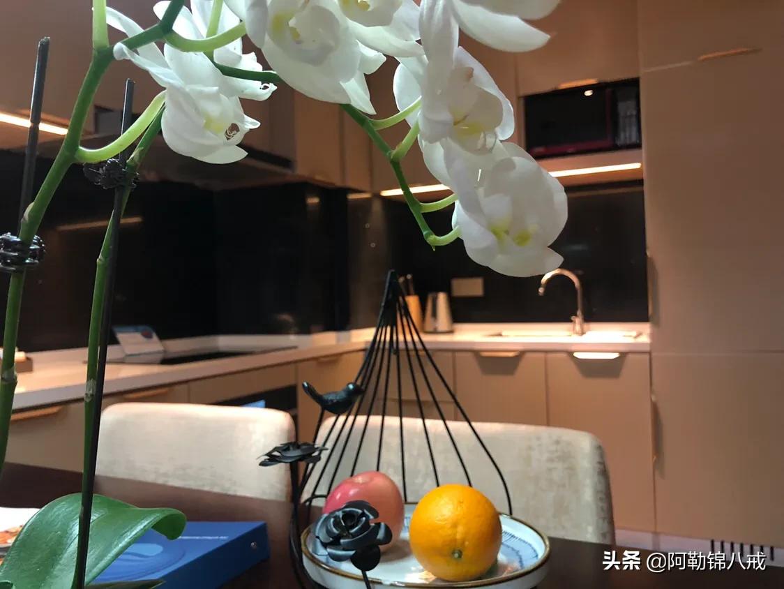 成旅旅游酒店式公寓,莎玛大庆服务式公寓酒店