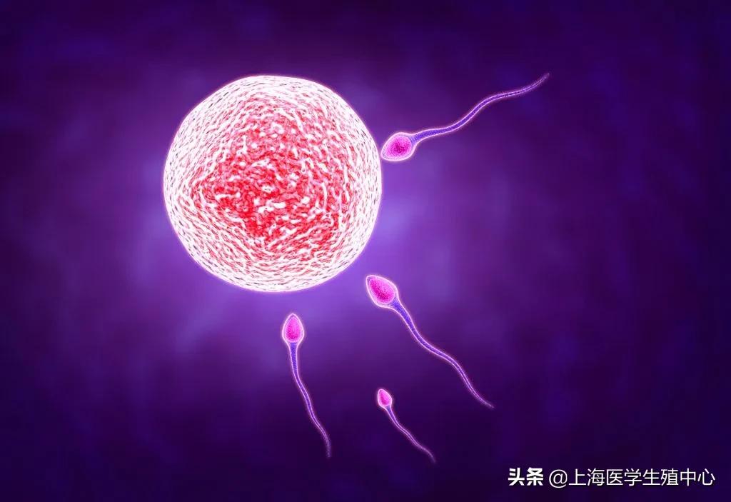 试管婴儿取完卵防止腹水,试管婴儿取完卵后关注哪些事项