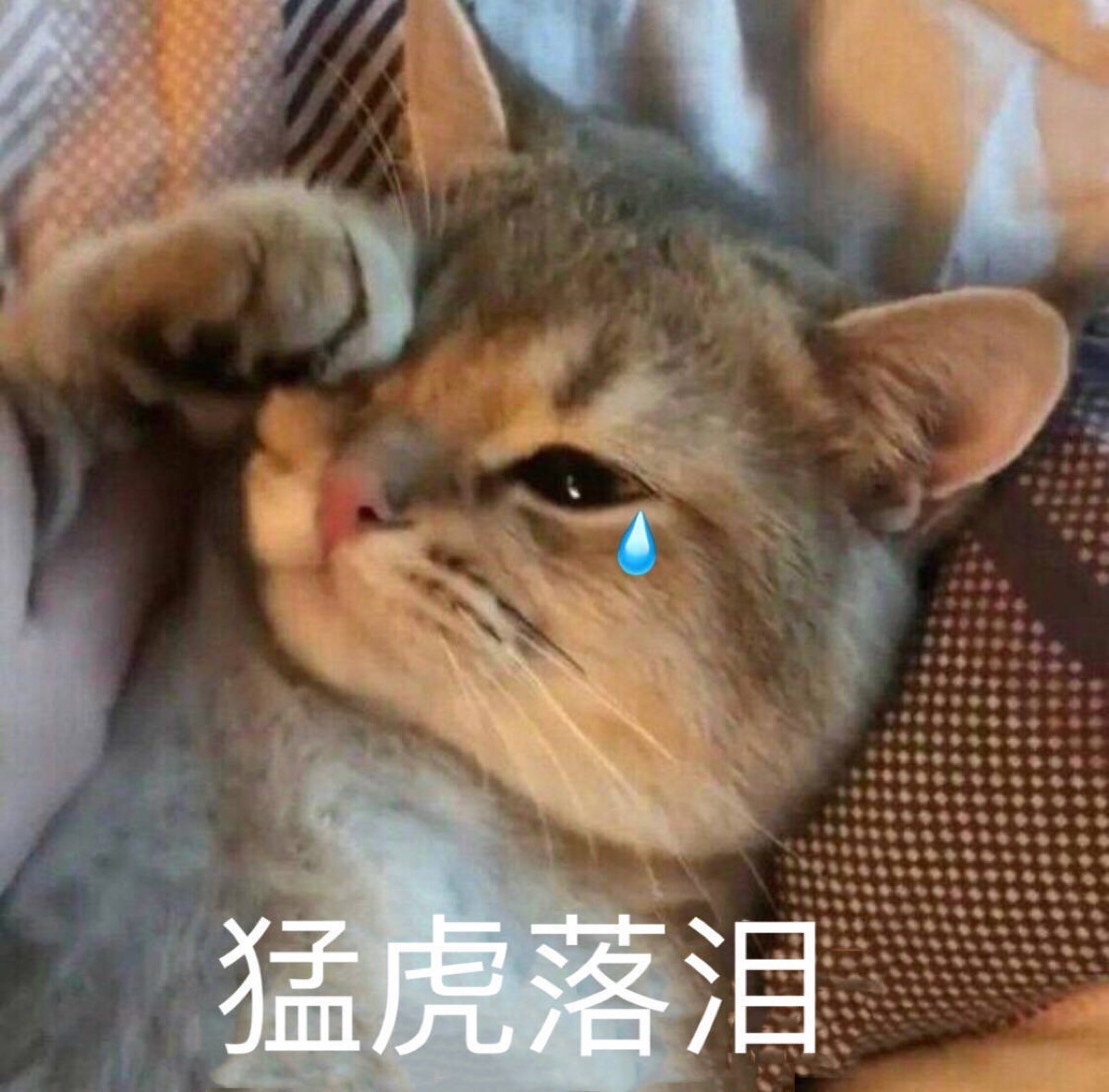 留学生关注啦加拿大入境最新政策,留学生国际航班如何在国外转机