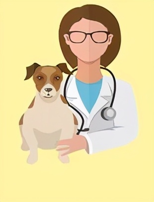 狗吃了有毒的食物救了所有人,一只小狗出现了食物中毒