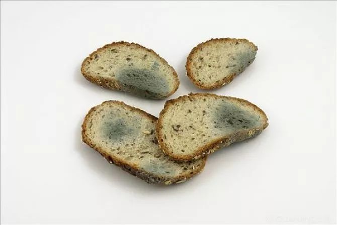 发霉的食物致癌？那怎样才能避免发霉