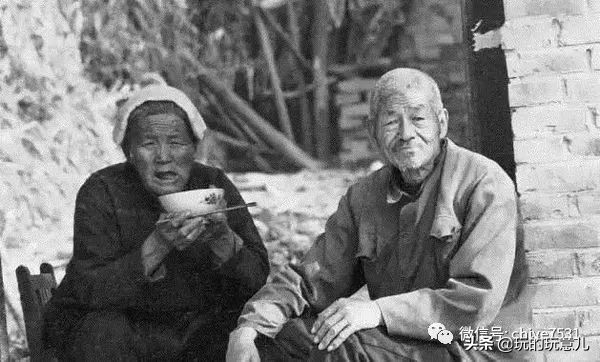 农村土狗的记忆,记忆中的土狗
