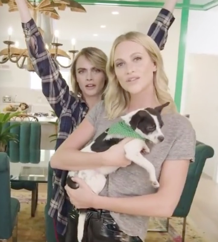 甜！英国贵族超模爱上美国女演员，机场热吻，狂撒狗粮