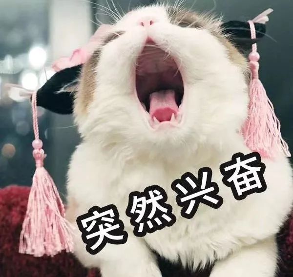 叶檀财经投资价值排行,叶檀财经推荐的股票有哪些