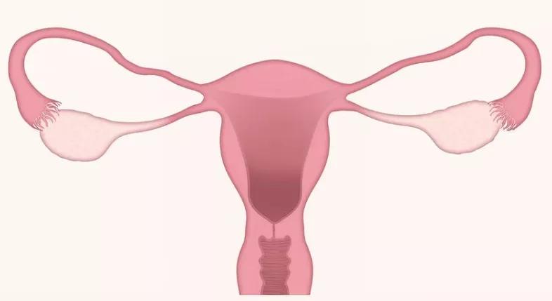 古代女性正确的避孕方式,女性避孕的9种最佳方式