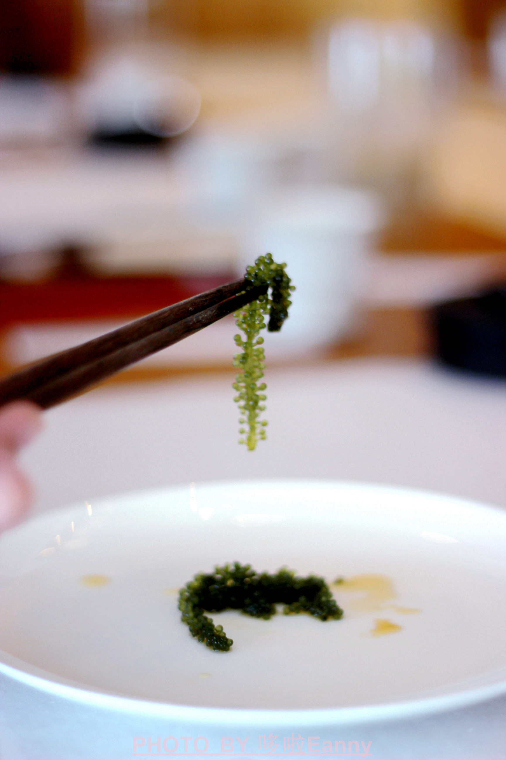 来一场仪式感,最有仪式感的素食