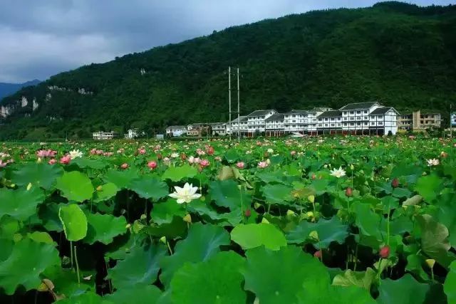 贵州最美农家乐,贵州这些藏在山间的诗意民宿