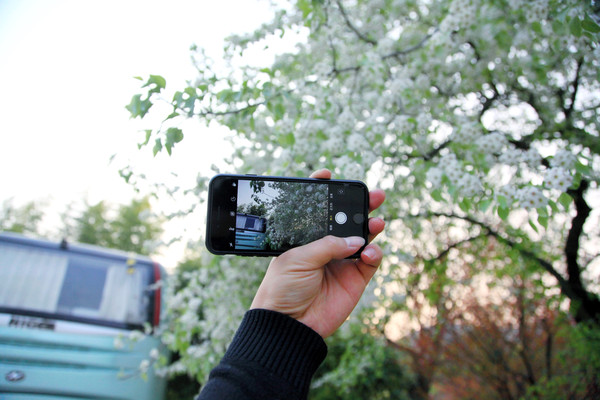 皇藏峪藏的到底是刘秀还是刘邦,汉高祖刘邦起家之地