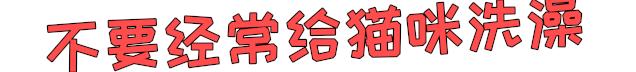 猫咪不洗澡也很干净,猫咪洗澡没冲干净有什么影响