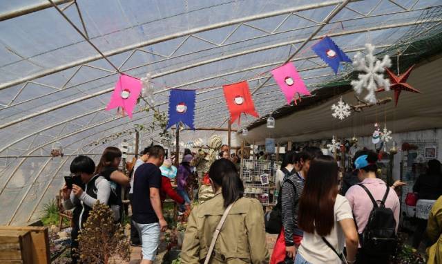 澶氳倝澶х浜屾湪,澶氳倝杈句汉浜屾湪