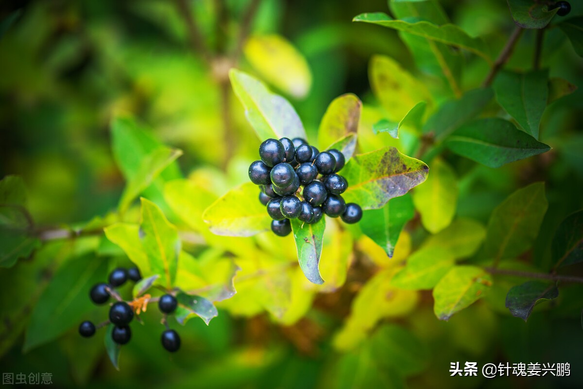 司机前列腺炎的预防和快速治疗,前列腺炎防范