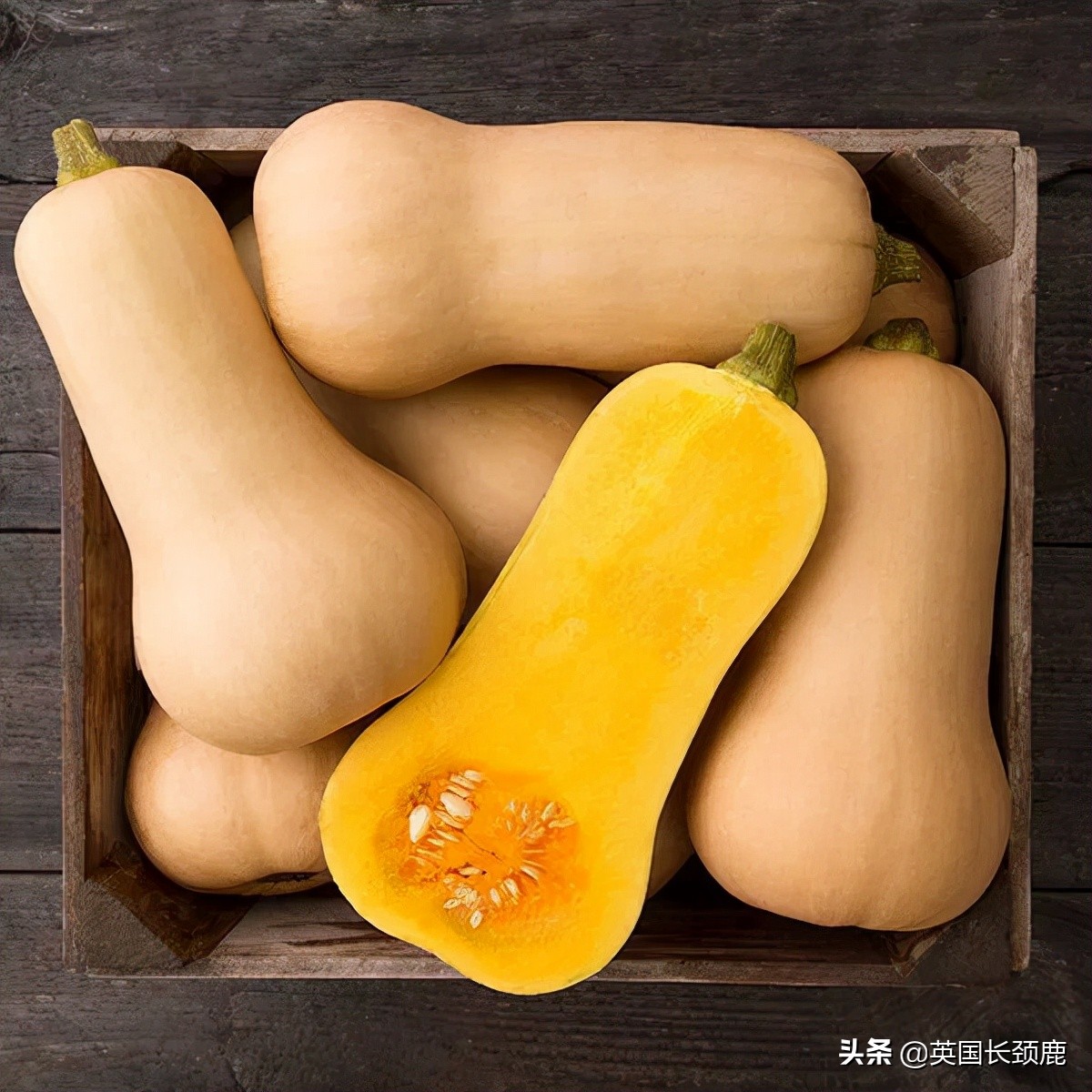 南瓜大作战攻略,南瓜大作战有几个地点