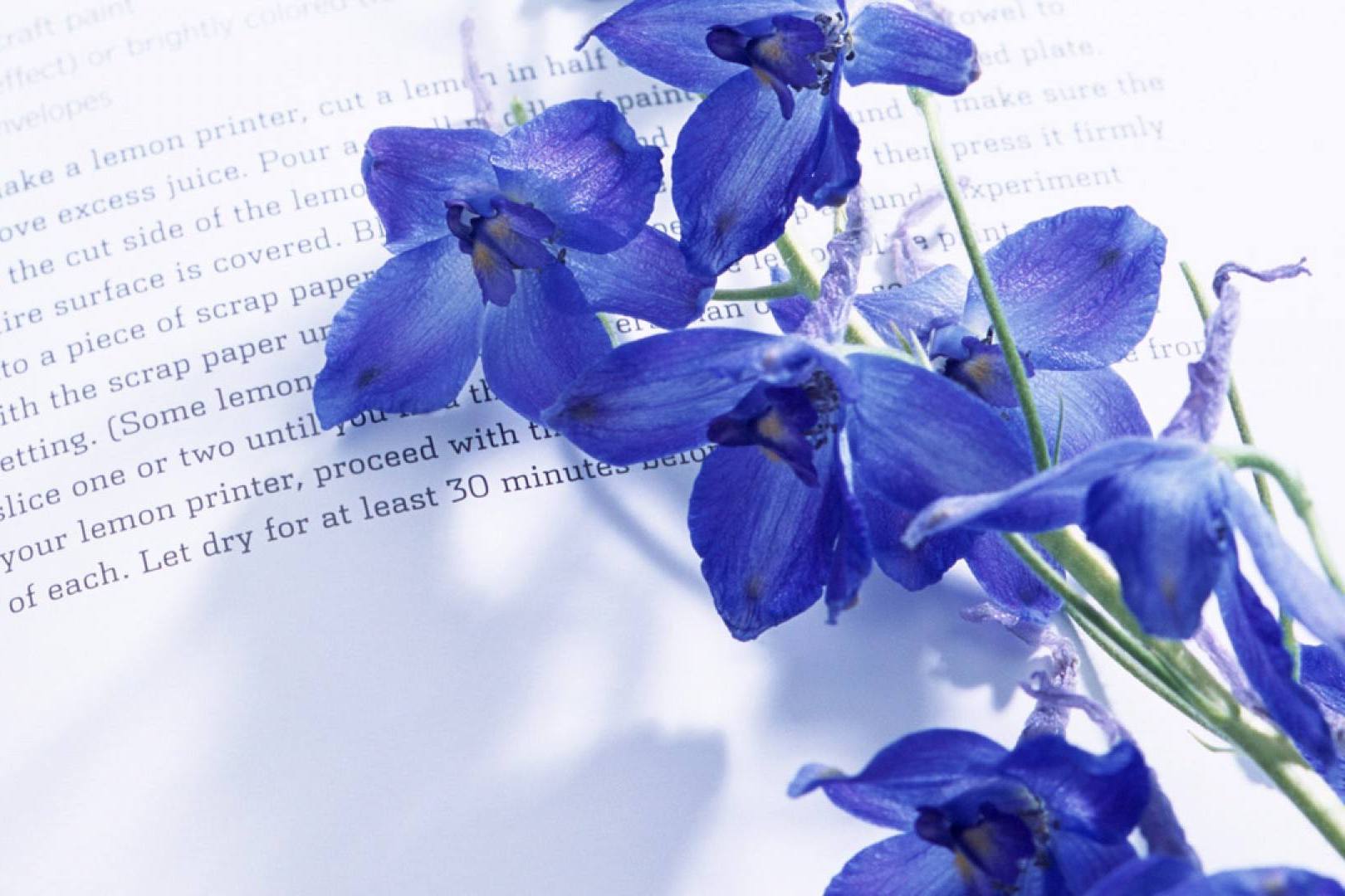 双子座喜欢开朗还是不开朗,双子座隐藏的另一种性格准到可怕