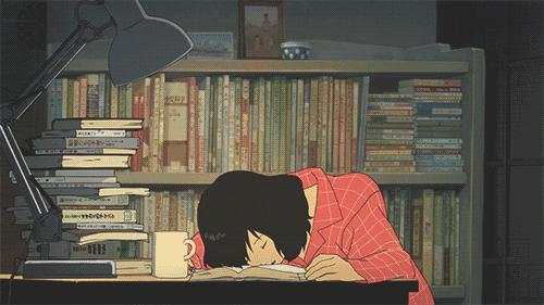 合肥十佳学校,合肥小学贵族学校排名