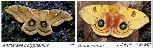 不喂奶也要开奶么,不喂奶该做什么